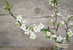 四川六天五晚旅游攻略 四川6日游最佳路线，首次去四川旅游的看完就懂了！