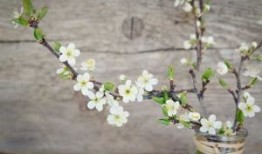 四川六天五晚旅游攻略 四川6日游最佳路线，首次去四川旅游的看完就懂了！
