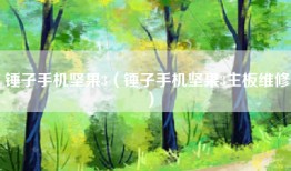 锤子手机坚果3（锤子手机坚果3主板维修）