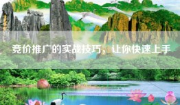 竞价推广的实战技巧，让你快速上手