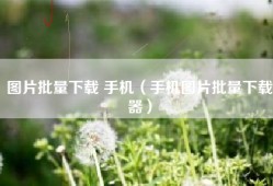 图片批量下载 手机（手机图片批量下载器）