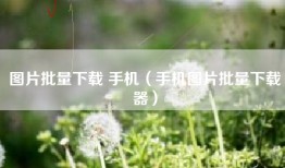 图片批量下载 手机（手机图片批量下载器）