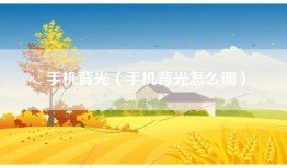 手机背光（手机背光怎么调）