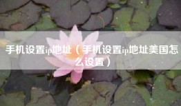 手机设置ip地址（手机设置ip地址美国怎么设置）