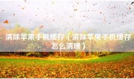 清除苹果手机缓存（清除苹果手机缓存怎么清理）