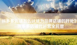 拼多多店铺怎么认证为品牌店铺的好处？--拼多多店铺代运营全托管
