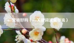 seo营销好吗（seo关键词流量引流）