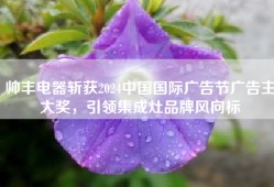 帅丰电器斩获2024中国国际广告节广告主大奖，引领集成灶品牌风向标