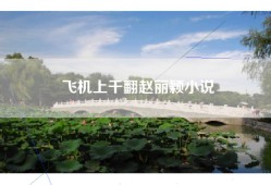 飞机上干翻赵丽颖小说