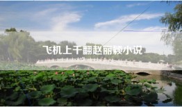 飞机上干翻赵丽颖小说