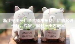 浙江挖出一口金丝楠木棺材，价值起码千万，专家：解开一千古谜案