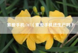 索爱手机t707（索爱手机还生产吗）