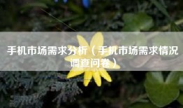 手机市场需求分析（手机市场需求情况调查问卷）
