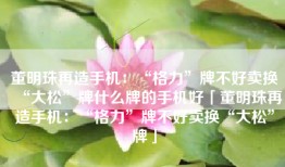 董明珠再造手机：“格力”牌不好卖换“大松”牌什么牌的手机好「董明珠再造手机：“格力”牌不好卖换“大松”牌」