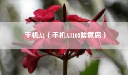 手机A3（手机A3108啥意思）
