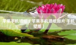 苹果手机墙纸（苹果手机墙纸图片 手机壁纸）