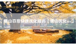 唐山百度快速优化排名【唐山优化seo】
