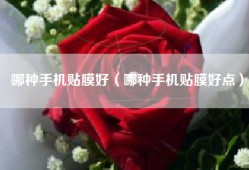 哪种手机贴膜好（哪种手机贴膜好点）