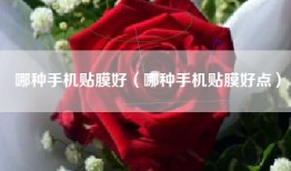 哪种手机贴膜好（哪种手机贴膜好点）