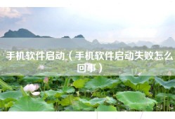 手机软件启动（手机软件启动失败怎么回事）