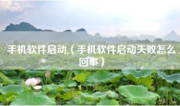 手机软件启动（手机软件启动失败怎么回事）