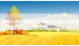 榆林seo推广渠道排行 榆林SEO推广渠道排行TOP榜