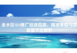 金水区SEO推广投资指南，精准策略与效益最大化解析