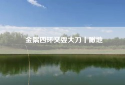 金隅四环又耍大刀丨瞰地