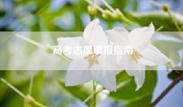 高考志愿填报指南