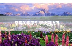 常用的搜索引擎使用技巧