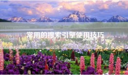 常用的搜索引擎使用技巧