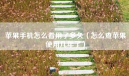 苹果手机怎么看用了多久（怎么查苹果使用几年了）