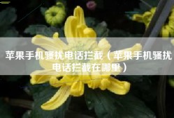 苹果手机骚扰电话拦截（苹果手机骚扰电话拦截在哪里）