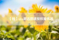 【转】idea激活搭建授权服务器