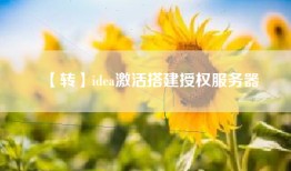 【转】idea激活搭建授权服务器