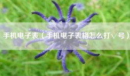 手机电子表（手机电子表格怎么打√号）