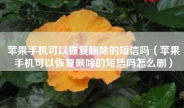 苹果手机可以恢复删除的短信吗（苹果手机可以恢复删除的短信吗怎么删）