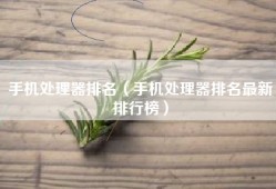 手机处理器排名（手机处理器排名最新排行榜）