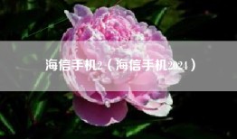 海信手机2（海信手机2024）