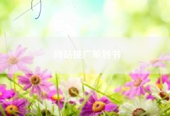 网站推广策划书