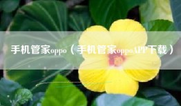 手机管家oppo（手机管家oppoAPP下载）
