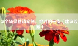 30个场景营销案例，绝对的干货（建议收藏）