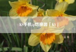 KS手机ip切换器「KS」