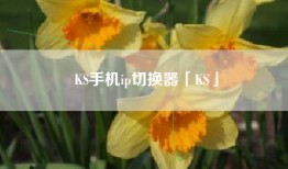 KS手机ip切换器「KS」