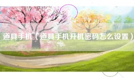 道具手机（道具手机开机密码怎么设置）