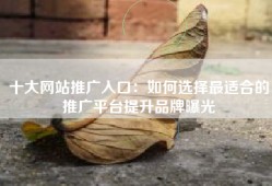 十大网站推广入口：如何选择最适合的推广平台提升品牌曝光