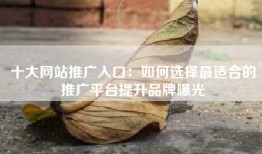 十大网站推广入口：如何选择最适合的推广平台提升品牌曝光