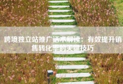 跨境独立站推广话术解读：有效提升销售转化率的关键技巧