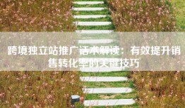 跨境独立站推广话术解读：有效提升销售转化率的关键技巧