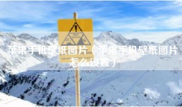 苹果手机壁纸图片（苹果手机壁纸图片怎么设置）